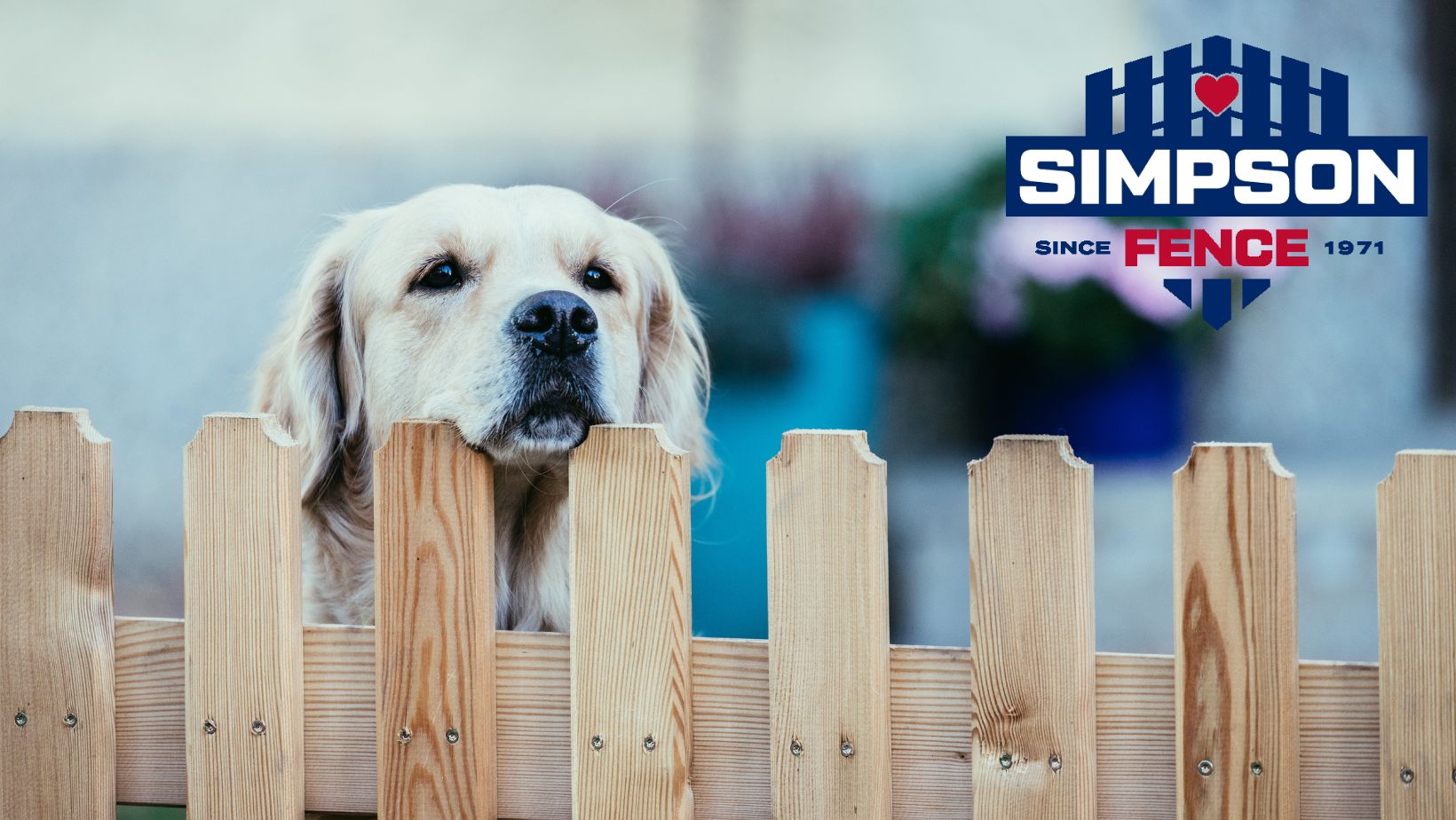 Safe and secure dog fencing in a residential yard, ensuring pet safety and containment in Ohio