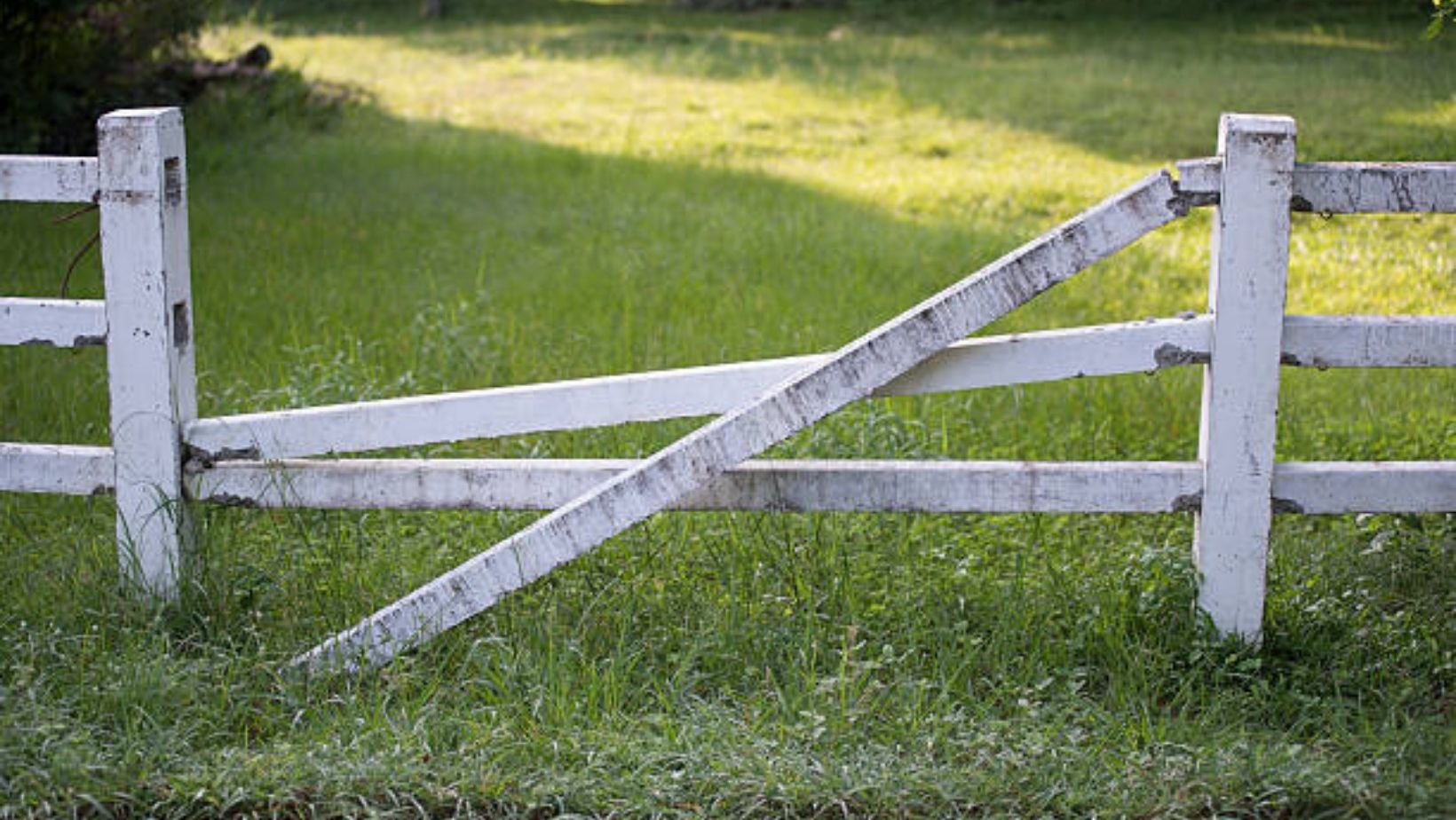 Top 7 Signs Your Old Fence Needs More Than a Repair in 2026 6 Maintains alignment over time without warping or sagging