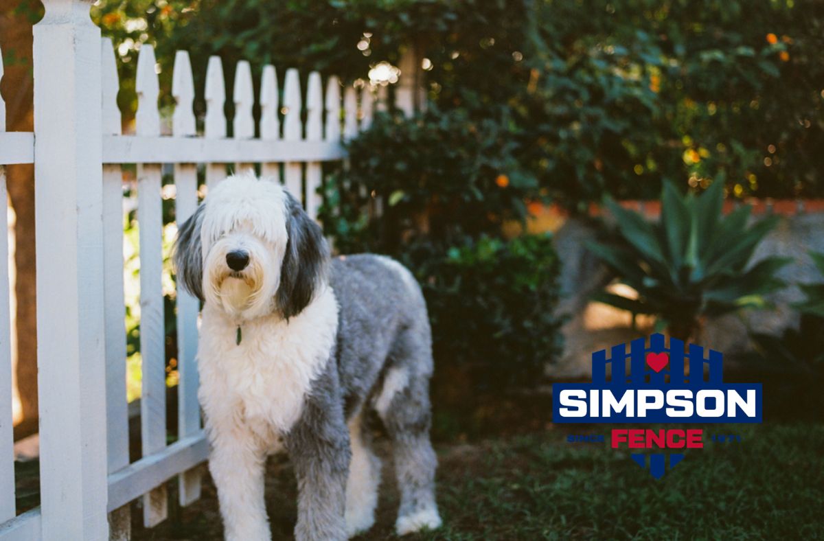 Fence Installation in Lebanon, OH 3 Custom dog fence installation designed to keep pets safe while complementing the property’s layout and style.
