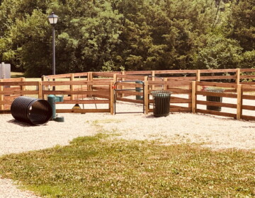 Kentucky Board Four Rail Fence enclosing a Dog Park Kentucky Board Four Rail Fence enclosing a Dog Park